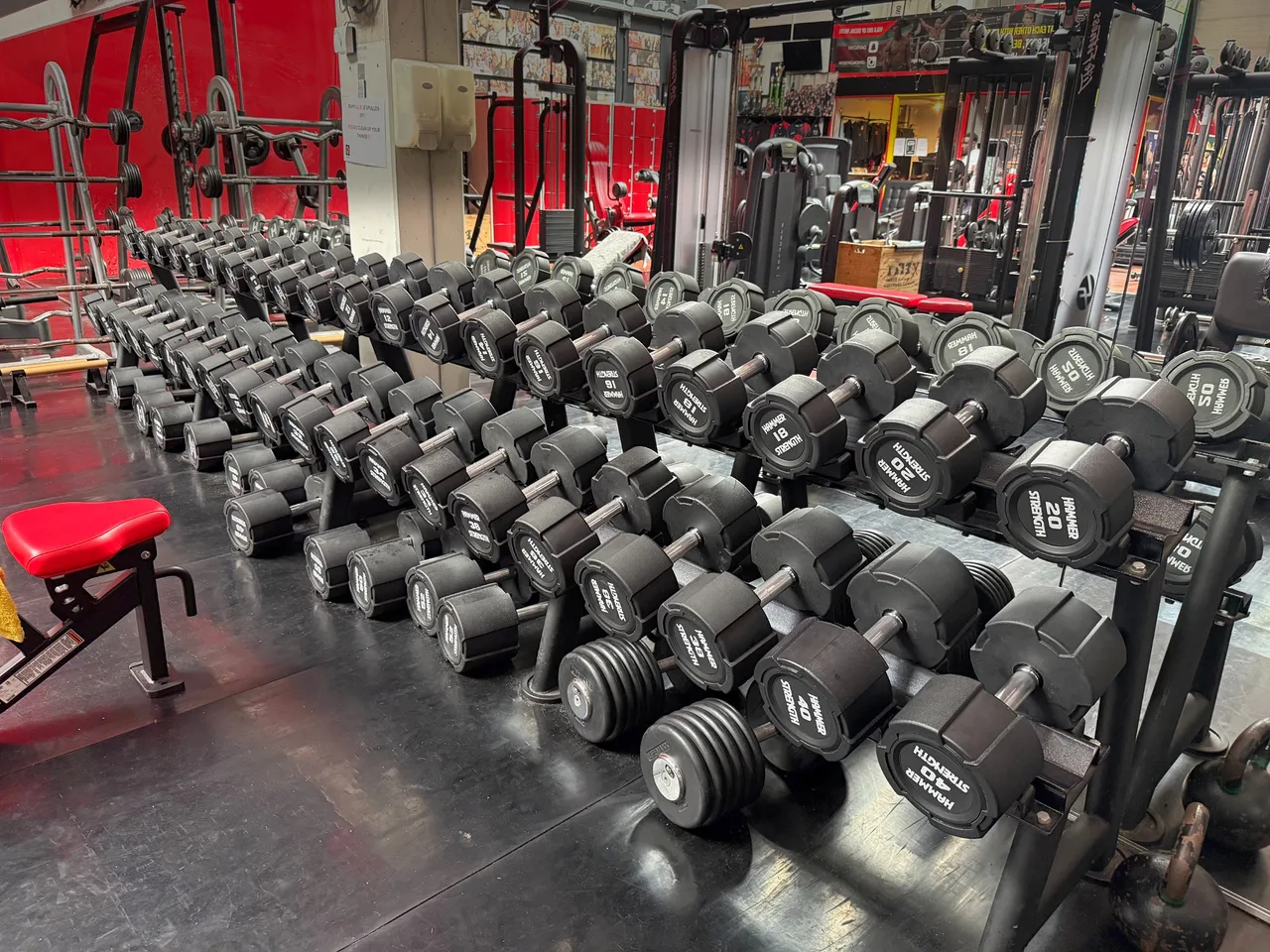 Dumbbellrekken met een volledige reeks gewichten in de fitnessruimte van Days Gym